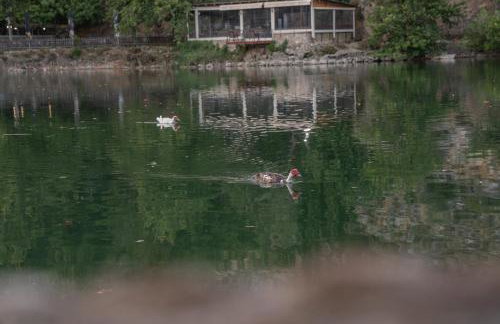 F & A Family Home - Foto 79