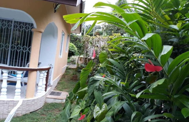Tropical Garden Self Catering - Photo 8