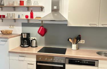 FeWo Ostrau, neues Bad, neue Küche, zentral, Sandstein-Ferien, Terrasse - Foto 17