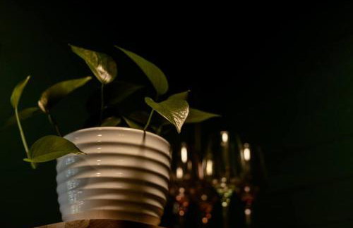 The Heron - Peaceful East Hill Escape - Foto 12