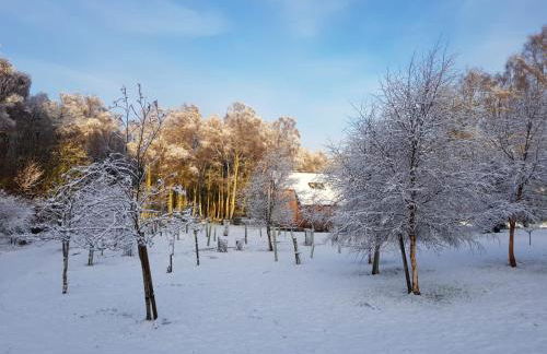 Lodges at the Mains - Photo 23