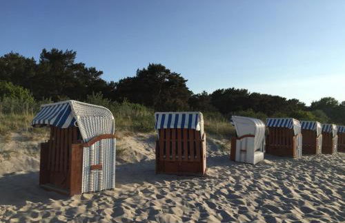 Reethaus Seeadler mit Sauna, Terrasse, Garten - Foto 13