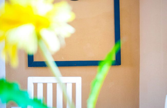 WiFI Gratis Balcon y Terraza Old Havana - Photo 21