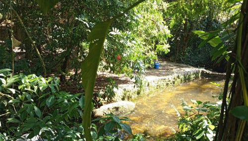 Flats Sítio Águas Lindas Praia de São Gonçalinho Paraty - Foto 2