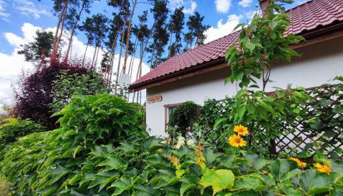 Brzozowa Chatka - Dom nad Jeziorem - Wellness & Ceragem - Foto 3, Garden, Garden view