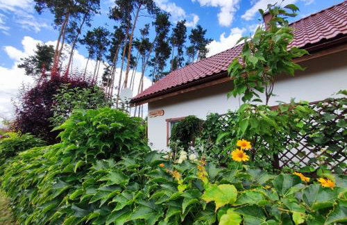 Brzozowa Chatka - Dom nad Jeziorem - Wellness & Ceragem - Foto 3