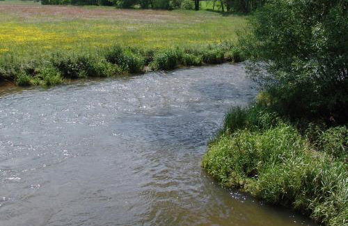 Ferienwohnung Waldstraße - Foto 55