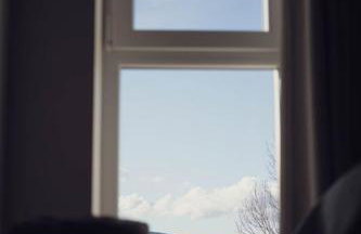 Entre Montagne et lac - vue lac - Foto 8