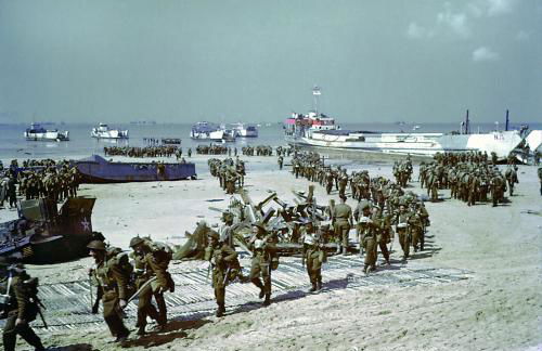 Manoir de Damigny - Photo 53