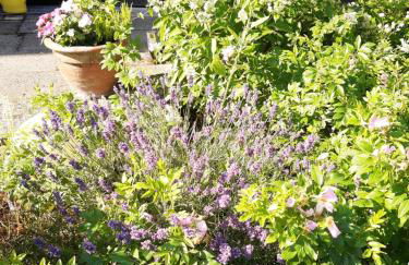 Ferienapartments Ida - Foto 25