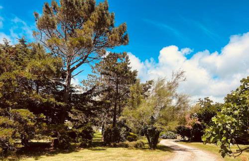 Maisons Bodenn - Villa de Pors Riagat Front de Mer - Foto 15