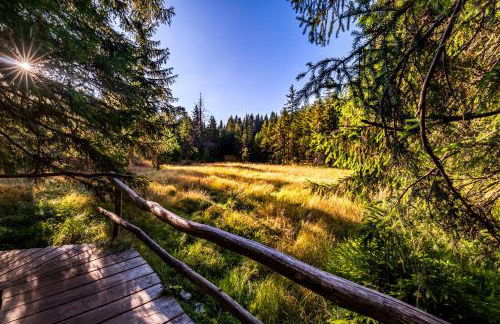 Feriendomizil am Rössleberg, Hinterzarten - Foto 25