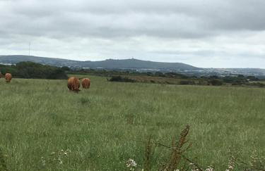 The Corn Store - Foto 19