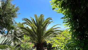 Apartments in exclusive Beachvilla - Foto 3