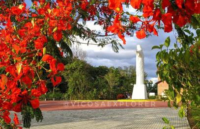 Casarão no centro de viçosa - Foto 63