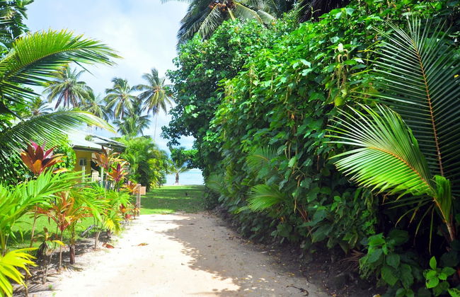 Coral Sands Apartments - Foto 50