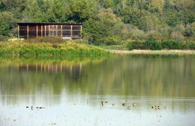 Beautiful Villa With Private Spa - Foto 37