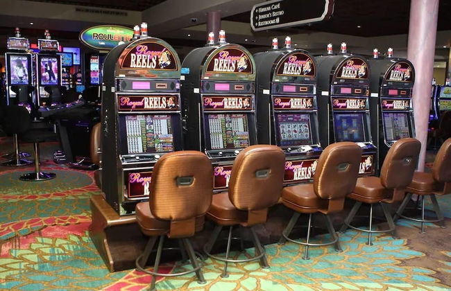 Amazing Apartment,hallandale Beach, Walk to Ocean! - Foto 28