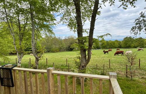 Breckland Lodge 3 with Hot Tub - Foto 9