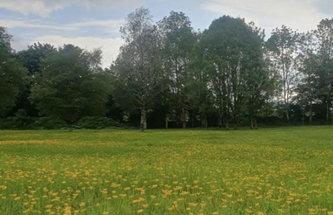 Apartment-sleeps2-parking-garden-patio - Foto 10