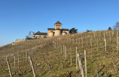 Apartment in Geisenheim with swimming pool - Foto 17