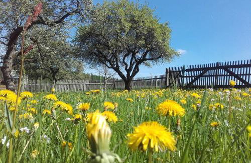 Pension 'Am Vogelherd' - Foto 2