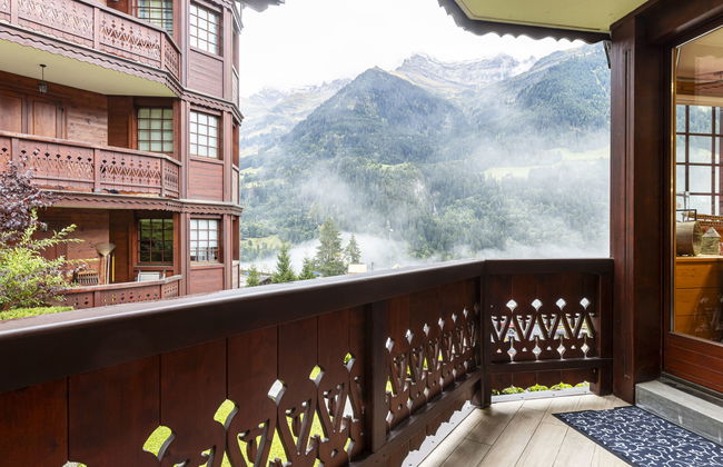 Bouquetins - Photo 28