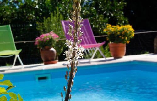 Apartamentos La Solana de Monfragüe - Foto 64