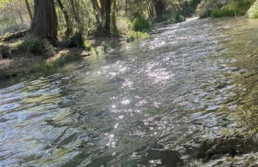 Casa rural VISTABLANCA en una sola planta con bonitas vistas y piscina - Junto a la capital y la Alhambra - Foto 45