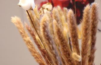 Wohnung #6 mit Balkon in ruhiger aber zentrale Lage - Stadtbus vor der Tür! - Foto 7