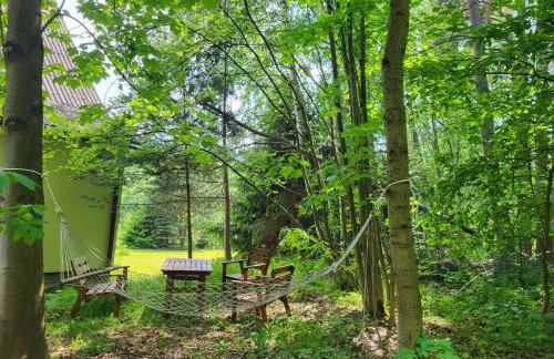 Cisza i Las - Dom na wyłączność, Prywatny Las, 2 pokoje, Polanica Zdrój - Foto 34