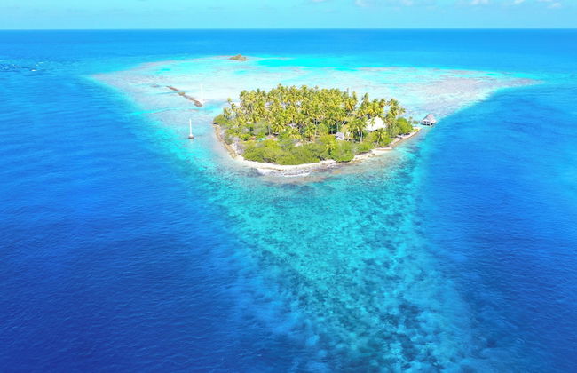 Motu Fara Private Island - Photo 61