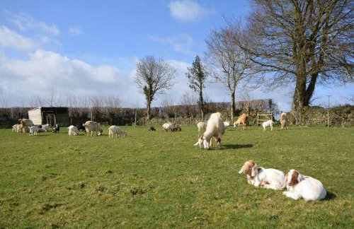 2 Bed in Callington oc-kates - Foto 25