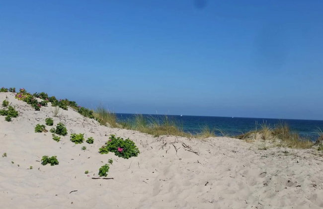 4 Star Holiday Home in Frederiksvaerk - Foto 40