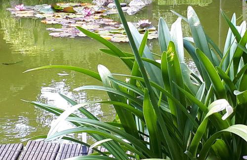 Preisbewusste Ferienwohnung für 2 Personen u. Kleinkind - Photo 34