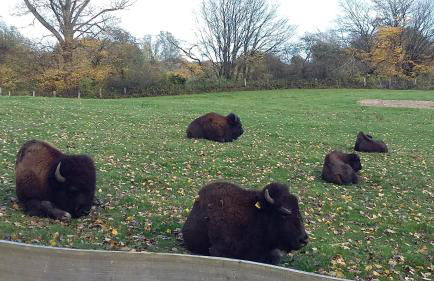 Schönes Appartement in ruhiger Lage - Foto 17