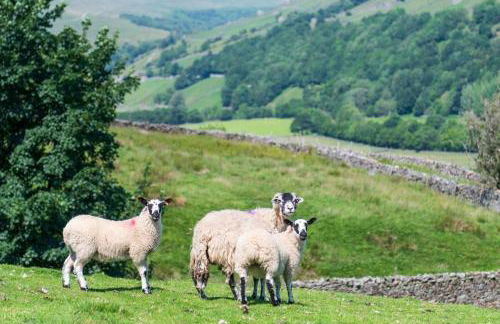 2 Bed in Low Row oc-ds1010 - Foto 30