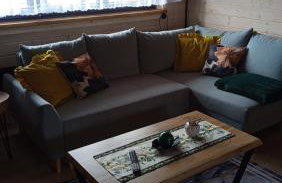 Domki Skitnica - Foto 75