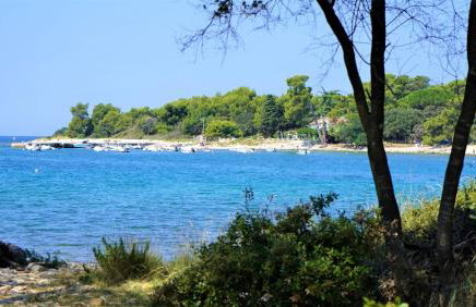 Apartmani Lisicak - Photo 41