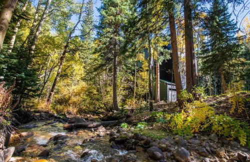 Tranquil Dumont Home with Creek and Mtn Views! - Foto 38