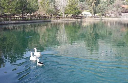 Creta Irini's Rooms3 - Foto 44