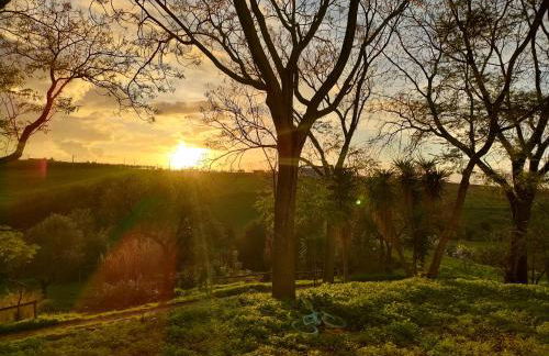 Las Brujas - Foto 15