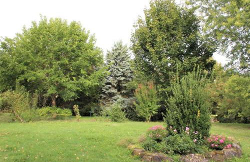 Location paisible proche de Belvès, animaux admis, terrasse - FR-1-616-147 - Foto 7