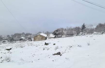 Cardenha da Bessada - Foto 55