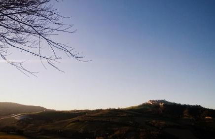 Le Vigne di Clementina Fabi - Foto 44