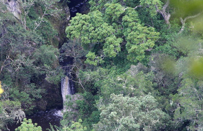 Moon Shine on Whiskey Creek - Foto 48