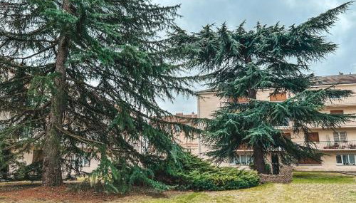 Quiet apartment Place Marine center Maisons Laffitte - Foto 5