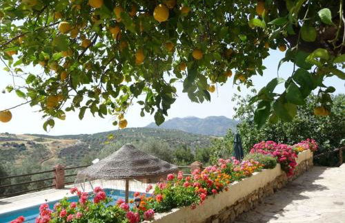 La Molina Del Olivar - Peaceful Location - Foto 58