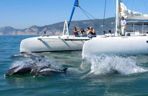 Comporta beach house - Foto 32