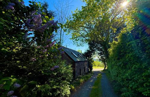 Sunridge Fishing Lodge with Hot Tub & Giant Cinema - Foto 58